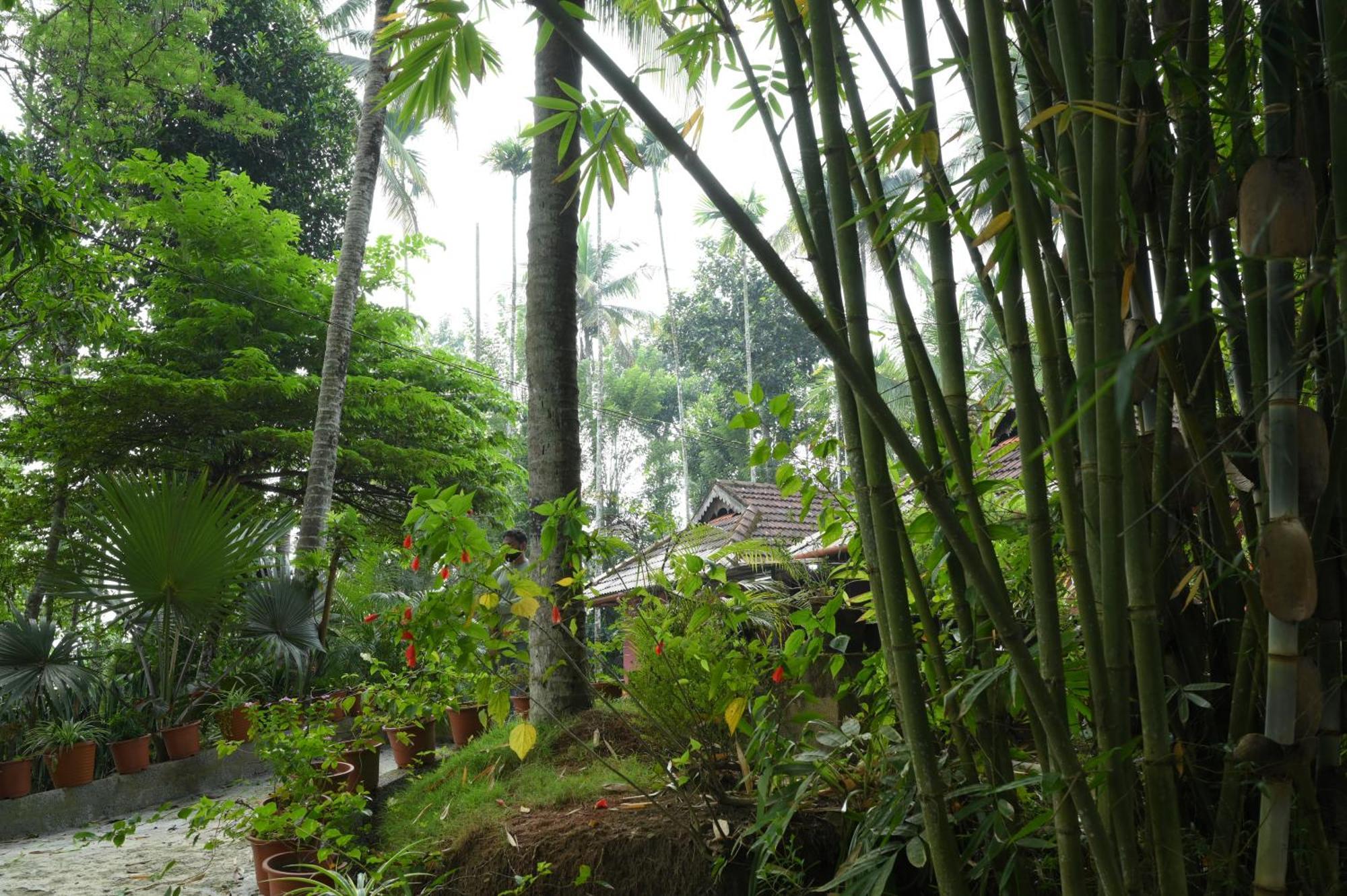 Coffee Island Resort Kaniyāmbetta 外观 照片