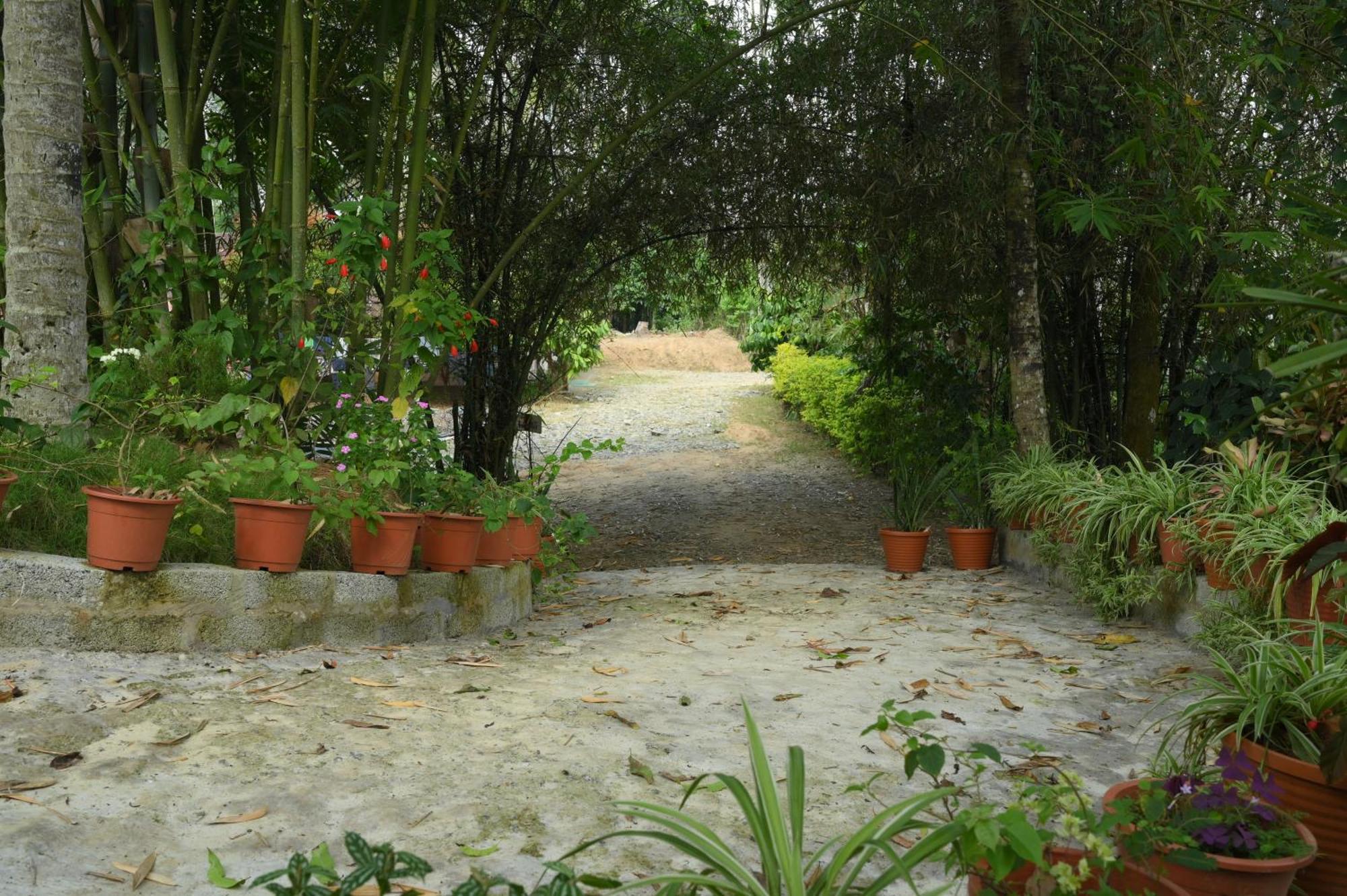 Coffee Island Resort Kaniyāmbetta 外观 照片